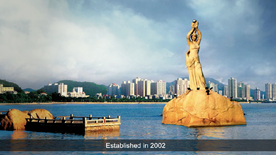 Partner Interview eHealth